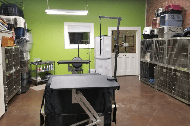 Grooming By Lesa